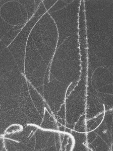 Jl_nightflight_2sw_500