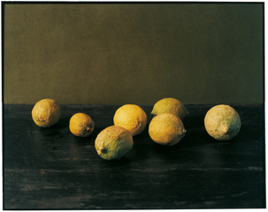 Citrons,Patrick Faigenbaum