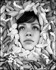 Petals,