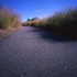 Ukeles--glassphalt_path