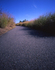 Ukeles--glassphalt_path