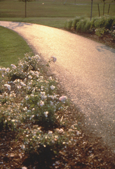 Turnaround / Surround,Mierle Laderman Ukeles