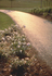 Ukeles--turnaround_surround__glassphalt_path