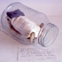 Ukeles--unburning_freedom_hall__unburning___1997