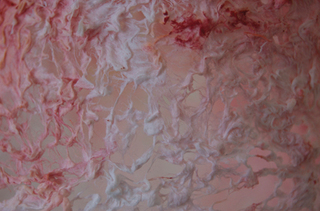 Detail ,Neha Vedpathak