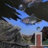Shapeimage_4