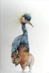 Adonna_peacock_on_buffalo