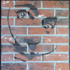 Dali