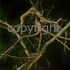 20110130114529-185_the_nornes_web70x70_72_copy