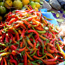 019_72ppi_chillies_in_the_kabul_market_11_21_01