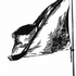 Fahne3