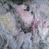 Dsc01639