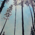 Artificial_trees