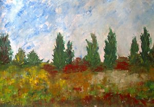 Colored_field