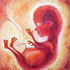 In_utero_iii