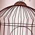 Vita_bryan_hewitt_sm