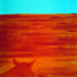 Through_the_eyes_of_a_buffalo