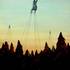 Mrozowskiparachutes