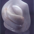 Feminine_spirit