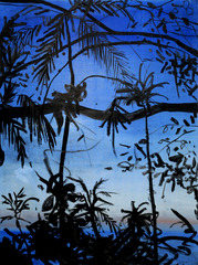 Tropical Jungle,Annika Connor