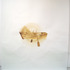 10_dry_eddy_2010