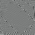 Roach_lr2_medium