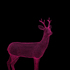 R_djur