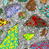 2_detail