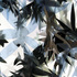 2_night_vision_detail