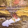 Nw398_newdams_small