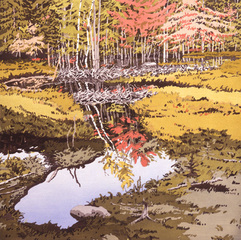 Study for New Dams in Meadows,Neil Welliver