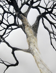 Ashes Tree,Karen Sikie