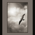 On_a_wind_and_a_prayer