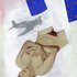 Vincent_008
