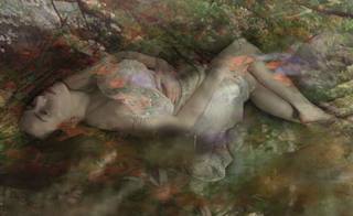 Wild Flowers,Lisa Holden
