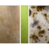 Detail_gold