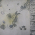 __3_untitled_42_x_54_mixed_media_2_panels_2008