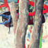 Carlson_1_vessels