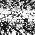 Ssh062