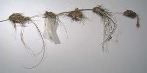 Float_downstream_3