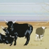 03c_5inx300ppi_500x375