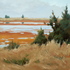 Adessa_1