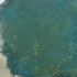 Mauricia_encaustic_image