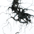 Uproot__60x36__ink_on_polyester_film__2010