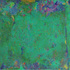 Covered_ground_36x48