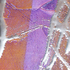 Cm_sbo_40