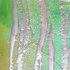 Cm_sbo_74