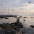 Monolake2008