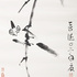 Bulbul_bird_low