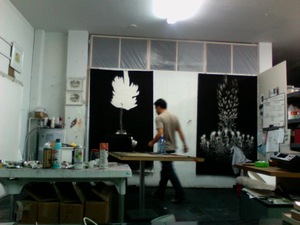 Photo_16